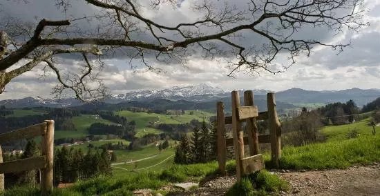 Eggen-Hohenweg