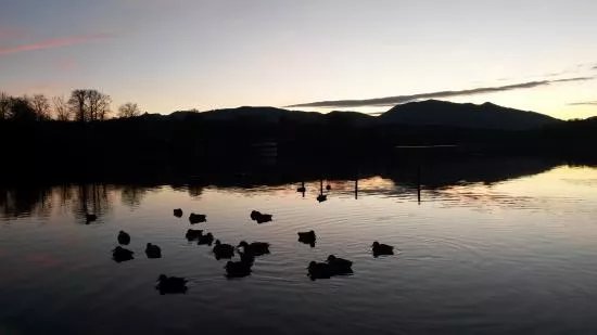 Staffelsee