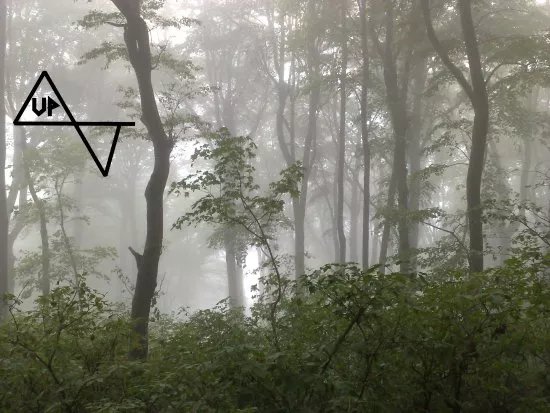 Untrodden Path