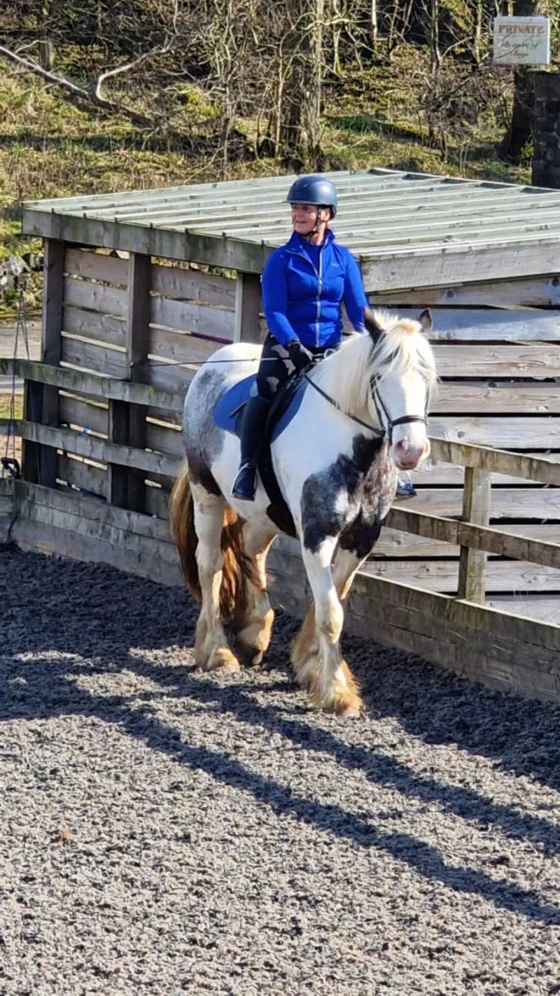 Easterton Farm Park