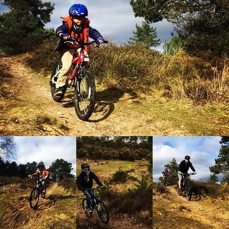 Sika Trail Bike hire