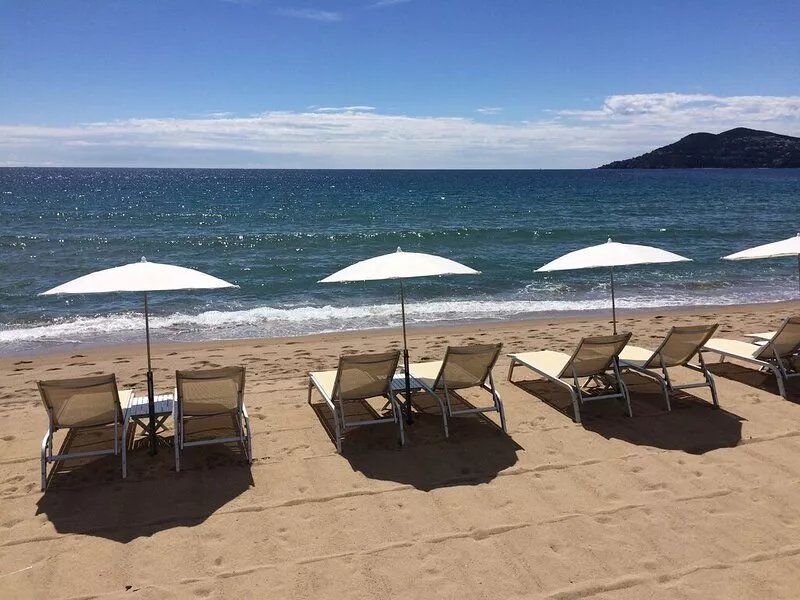 Bright, air-conditioned studio with garden terrace, in the heart of Cannes