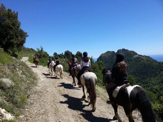 Soubrana Cheval Montagne
