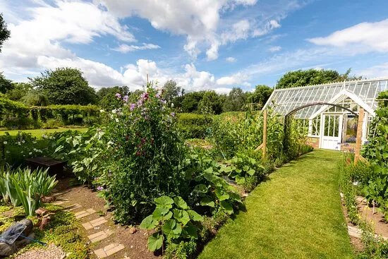 Garden Organic