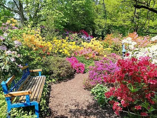 Rosarium Wilhelmshaven
