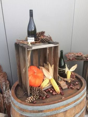 Weingut Buechin