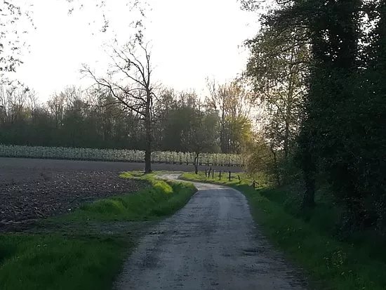Fietsen in en rond Hasselt
