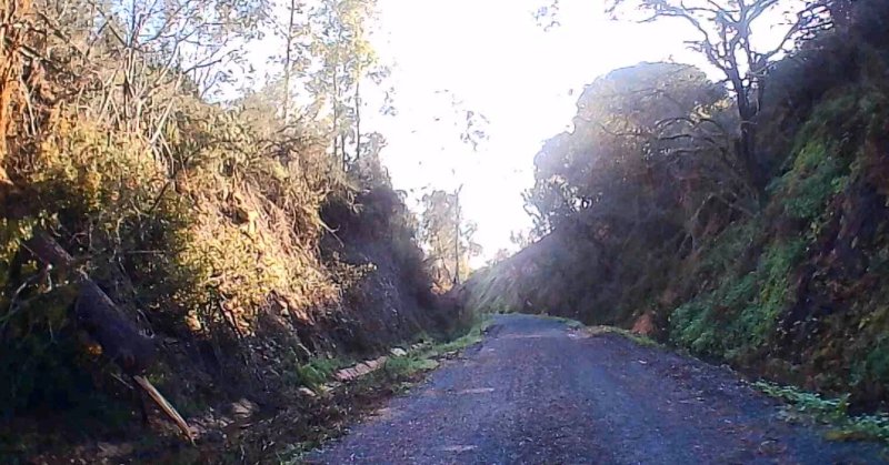 Carril Bici Corrales/gibraleon