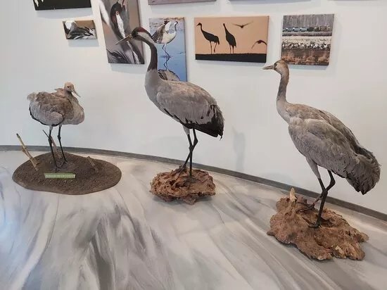 Moorwelten Wagenfeld - Europaisches Fachzentrum Moor und Klima