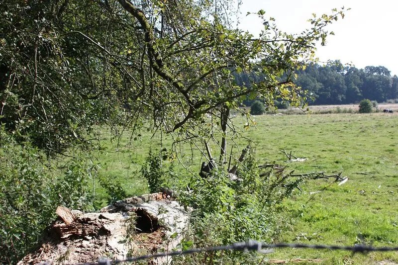 Very lovely cottage, very quiet, for 5 people