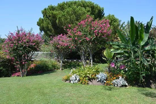 Parc Pheonix