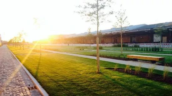 Halle02