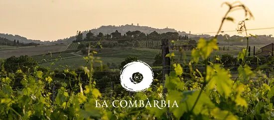 La Combarbia Winery Montepulciano