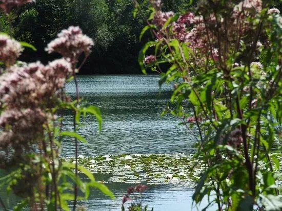 Baggersee Happurg