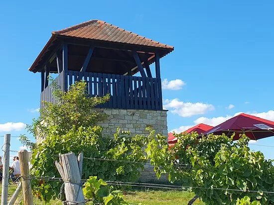 Bornheimer Kuckucksturm