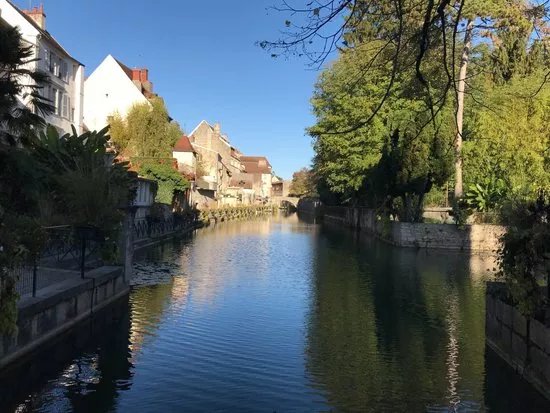 Vieux Dole
