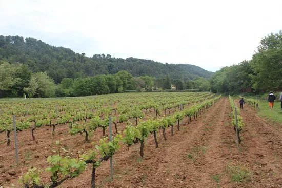 Domaine de Marie - Caveau Luberon/Provence