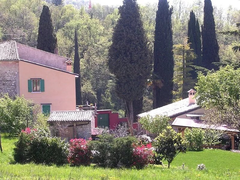 Quiet and spacious studio in a green and sunny