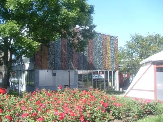 Miejska Galeria Sztuki