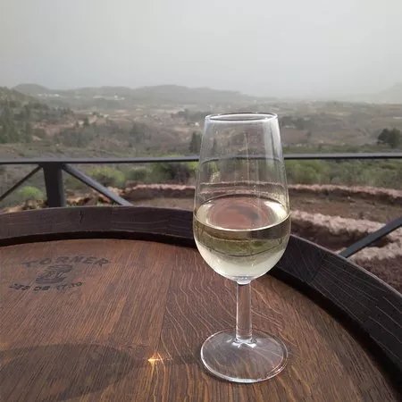 Vino, tapas y naturaleza