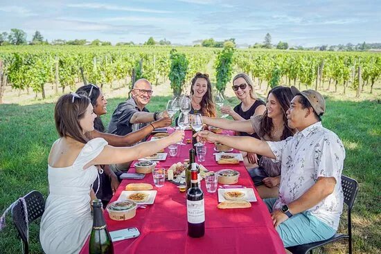 Bordeaux Wine Trails