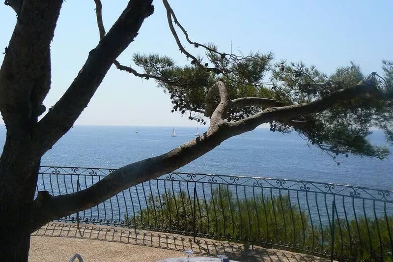 Villa Contemporaine , Piscine, Gazonnée Plantée D'oliviers , Plages 15' sud