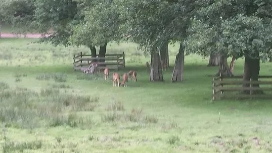 Kurpfalz-Park Wachenheim