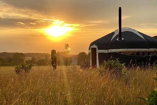 Wild Meadow Glamping Raynham