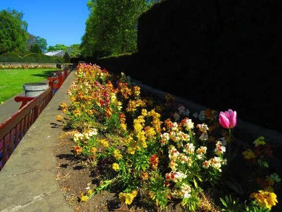 Saughton Park And Gardens