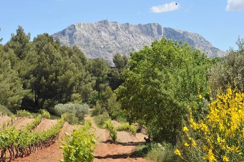 AIX - COUNTRY in the vineyards