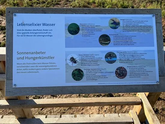 Biotop Am Flutewehr