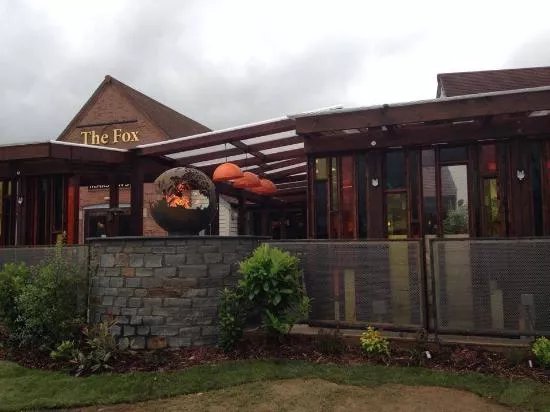The Fox