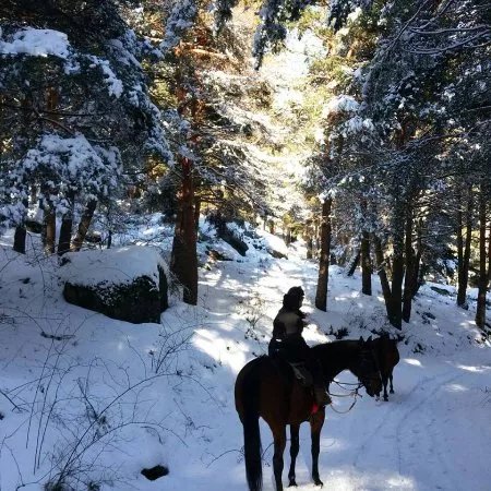 Horse Riding Madrid -Jarahonda