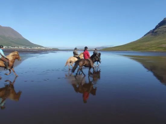 Travel East - Day Tours