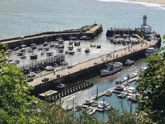 Harbour View