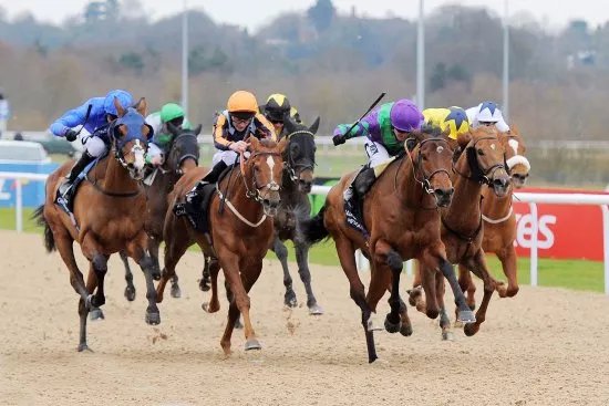 Wolverhampton Racecourse