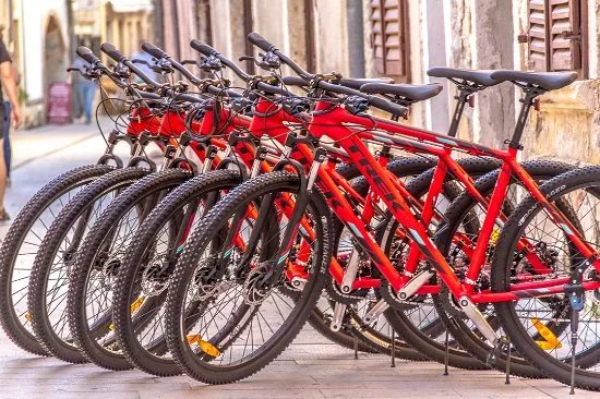BlueGreen - Bike Tours