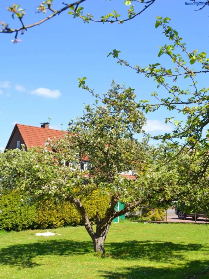 Ferienwohnung Waldblick Buckeburg