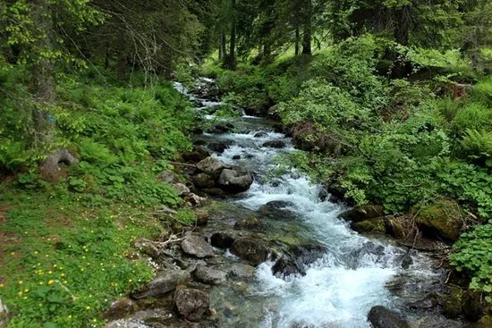 Sentiero 262 Staboletto Passo del Frate