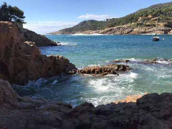 Tamariu Beach