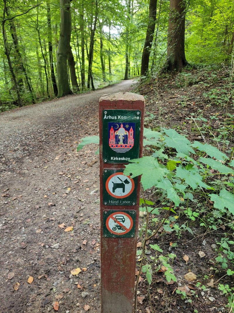 Kirkeskov