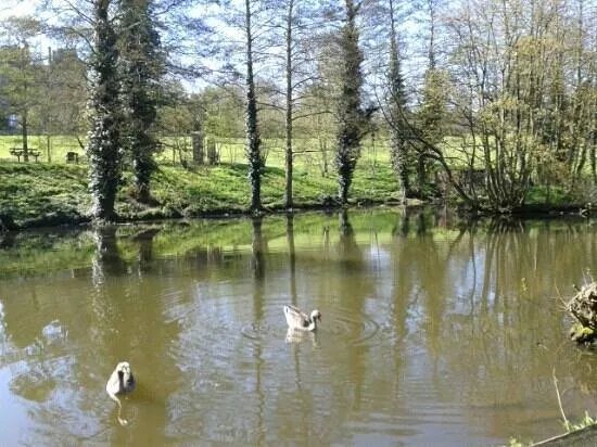 East Carlton Country Park