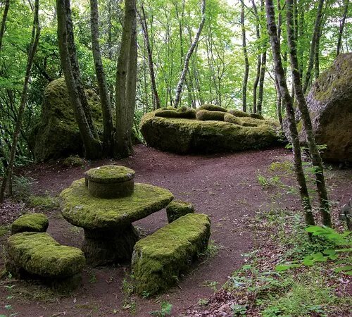 Opera Bosco - Museo di Arte nella Natura