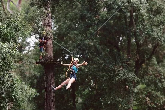 Il Pineto Parco Avventura