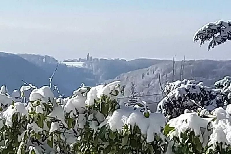 Take a vacation in the beautiful Westerwald, in Haus am Wald