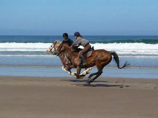 Mullacott Equestrian Centre