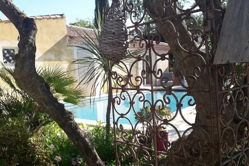Cozy Cottage in the Very Heart of Provence Among Oliver Trees