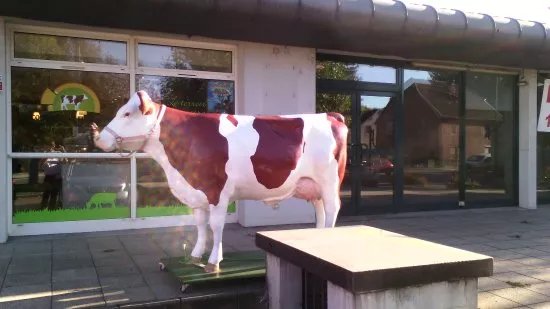 Cooperative Fromagere du Plateau de Bouclans