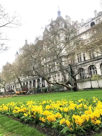 Whitehall Gardens