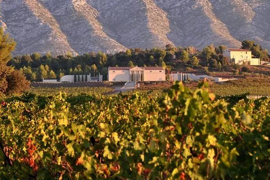 Chateau Gassier